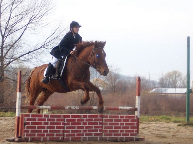 Hubertus 2006